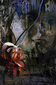 Sonja Leutholff titel Ik heb de vrijheid lief. kopie 2-bewerkt